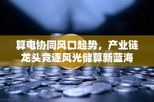 算电协同风口起势，产业链龙头竞逐风光储算新蓝海