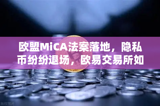 欧盟MiCA法案落地,隐私币纷纷退场,欧易交易所如何合规前行?-第1张图片-欧易交易所 欧盟MiCA法案落地,隐私币纷纷退场,欧易交易所如何合规前行?-第1张图片-欧易交易所