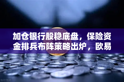 加仓银行股稳底盘，保险资金排兵布阵策略出炉，欧易交易所官网解析市场新风向