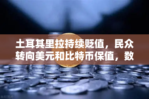 土耳其里拉持续贬值,民众转向美元和比特币保值,数字资产交易平台的新机遇-第1张图片-欧易交易所 土耳其里拉持续贬值,民众转向美元和比特币保值,数字资产交易平台的新机遇-第1张图片-欧易交易所