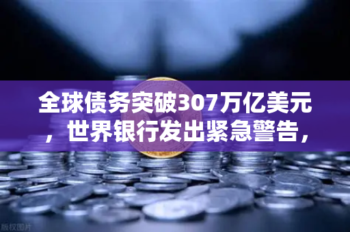 全球债务突破307万亿美元，世界银行发出紧急警告，数字经济能否成为破局关键？