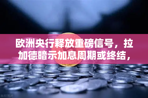 欧洲央行释放重磅信号，拉加德暗示加息周期或终结，流动性拐点将至，投资者如何布局？