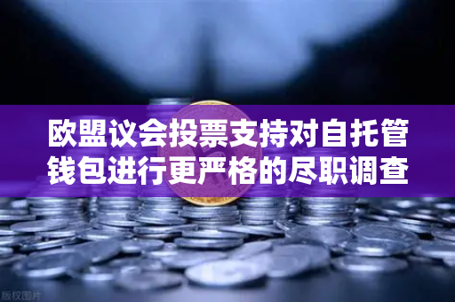 欧盟议会投票支持对自托管钱包进行更严格的尽职调查，加密货币合规新纪元