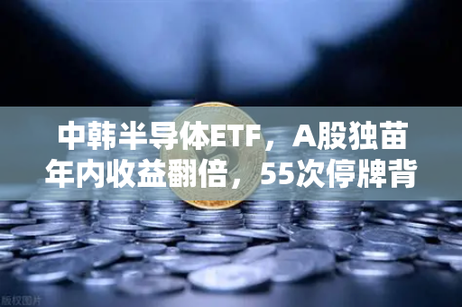 中韩半导体ETF,A股独苗年内收益翻倍,55次停牌背后的机会与陷阱-第1张图片-欧易交易所 中韩半导体ETF,A股独苗年内收益翻倍,55次停牌背后的机会与陷阱-第1张图片-欧易交易所