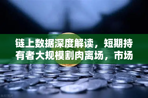 链上数据深度解读，短期持有者大规模割肉离场，市场信号何去何从？