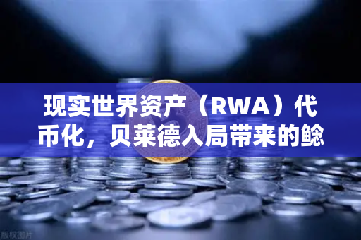 现实世界资产（RWA）代币化，贝莱德入局带来的鲶鱼效应