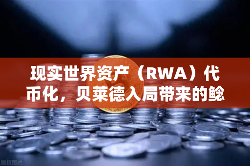 现实世界资产（RWA）代币化，贝莱德入局带来的鲶鱼效应