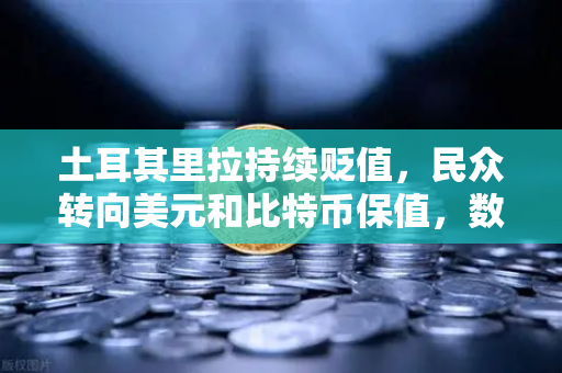 土耳其里拉持续贬值，民众转向美元和比特币保值，数字资产新避险渠道解析