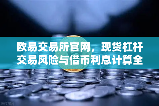 欧易交易所官网,现货杠杆交易风险与借币利息计算全解析-第1张图片-欧易交易所 欧易交易所官网,现货杠杆交易风险与借币利息计算全解析-第1张图片-欧易交易所